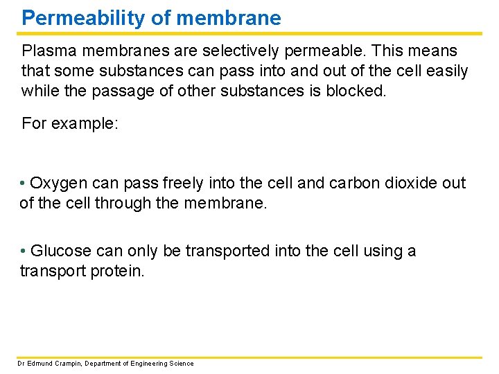 Permeability of membrane Plasma membranes are selectively permeable. This means that some substances can