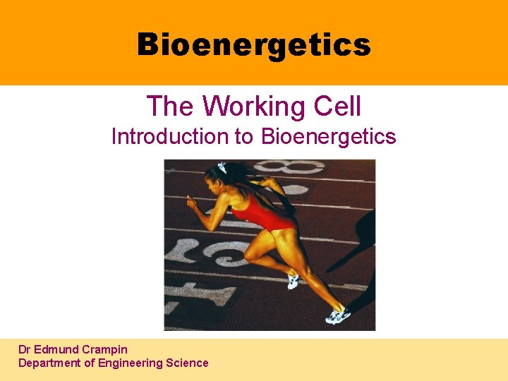 Bioenergetics The Working Cell Introduction to Bioenergetics Dr Edmund Crampin Department of Engineering Science