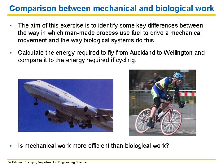 Comparison between mechanical and biological work • The aim of this exercise is to