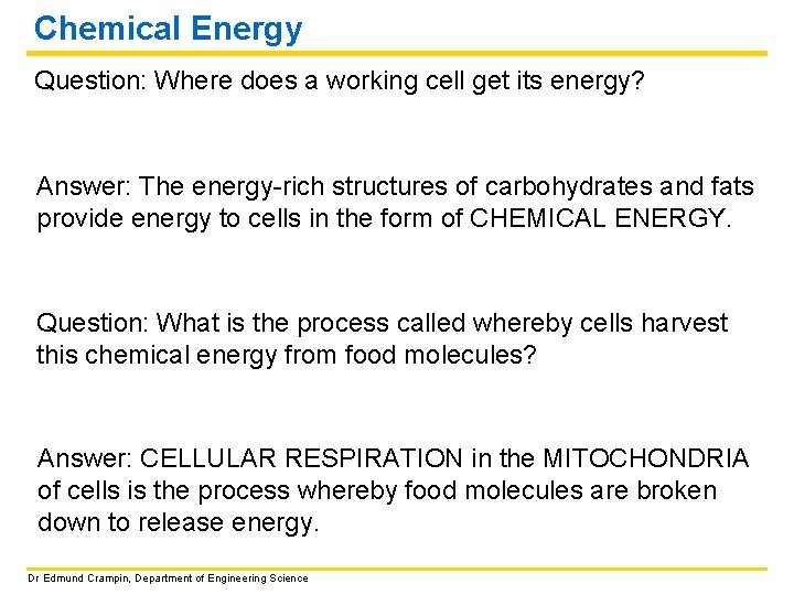 Chemical Energy Question: Where does a working cell get its energy? Answer: The energy-rich