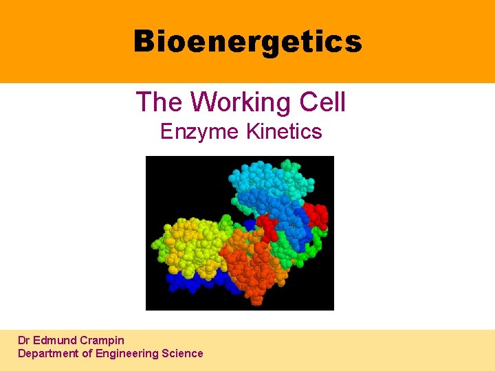 Bioenergetics The Working Cell Enzyme Kinetics Dr Edmund Crampin Department of Engineering Science 