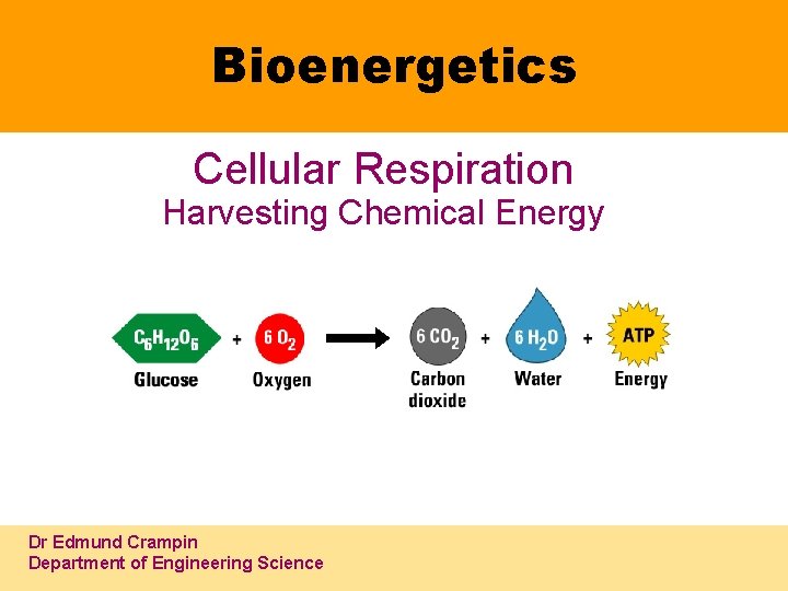 Bioenergetics Cellular Respiration Harvesting Chemical Energy Dr Edmund Crampin Department of Engineering Science 