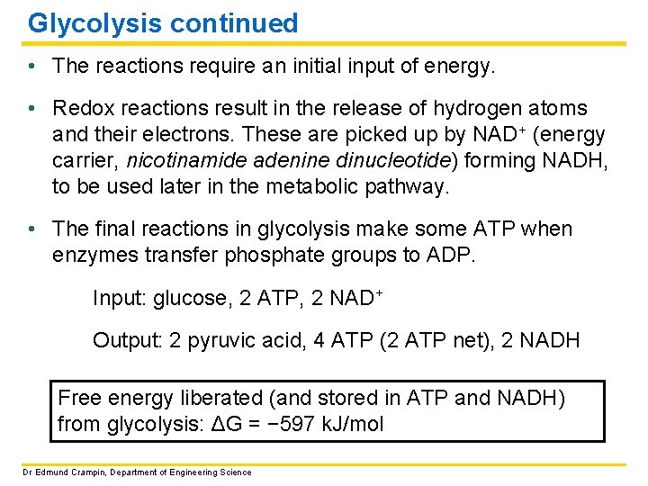 Glycolysis continued • The reactions require an initial input of energy. • Redox reactions