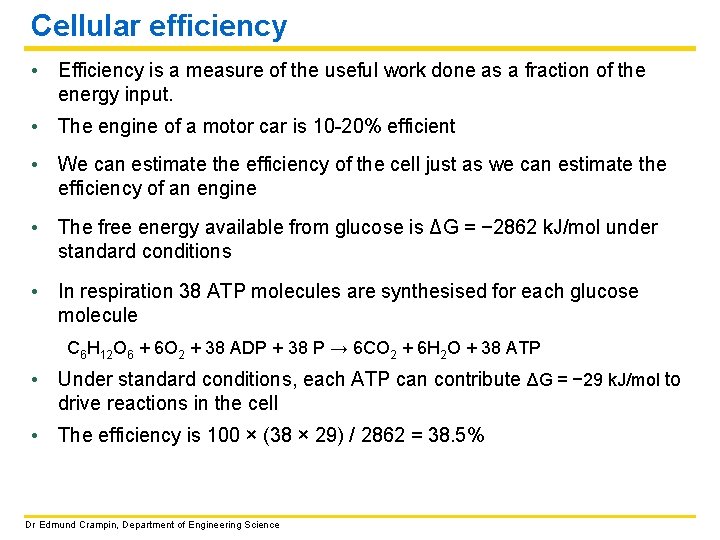 Cellular efficiency • Efficiency is a measure of the useful work done as a