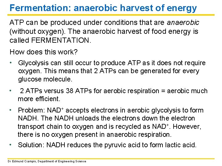 Fermentation: anaerobic harvest of energy ATP can be produced under conditions that are anaerobic