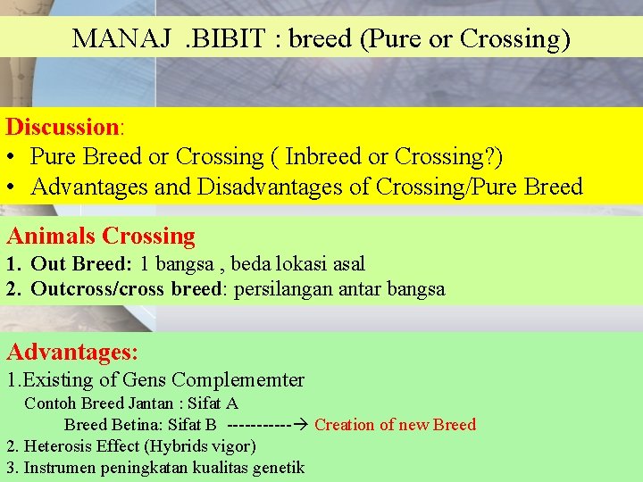 MANAJ. BIBIT : breed (Pure or Crossing) Discussion: • Pure Breed or Crossing (