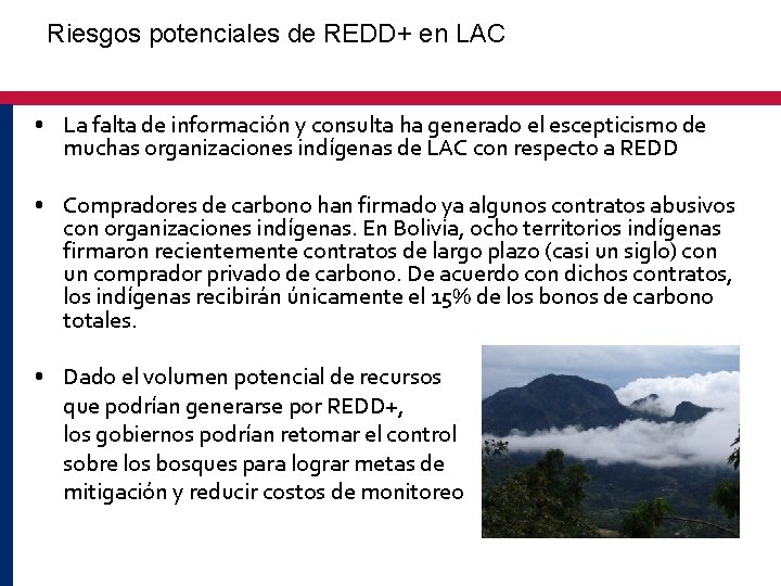Riesgos potenciales de REDD+ en LAC • La falta de información y consulta ha