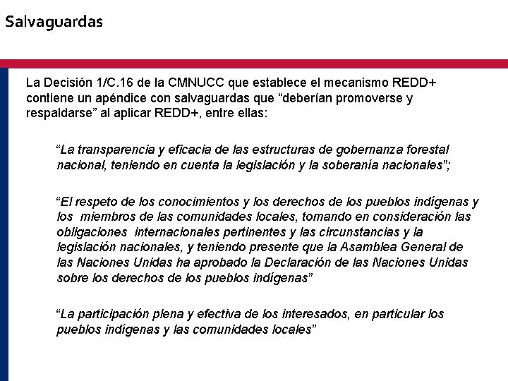 Salvaguardas La Decisión 1/C. 16 de la CMNUCC que establece el mecanismo REDD+ contiene