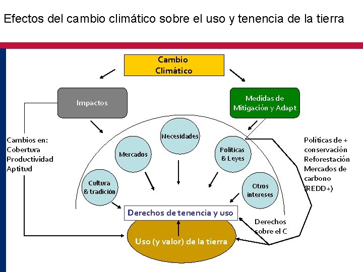 Efectos del cambio climático sobre el uso y tenencia de la tierra Cambio Climático