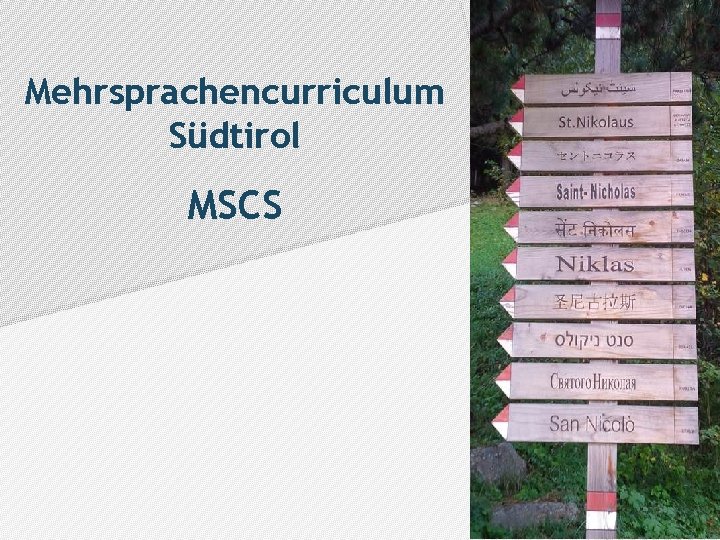 Mehrsprachencurriculum Südtirol MSCS 