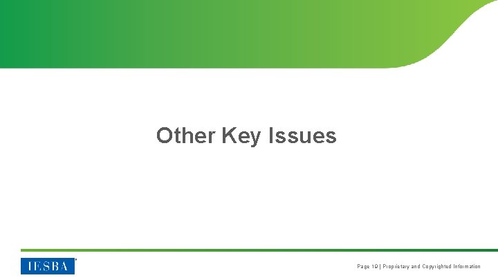 Other Key Issues Page 19 | Proprietary and Copyrighted Information 