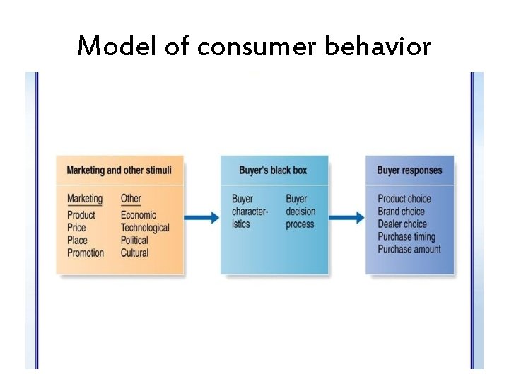 Model of consumer behavior 