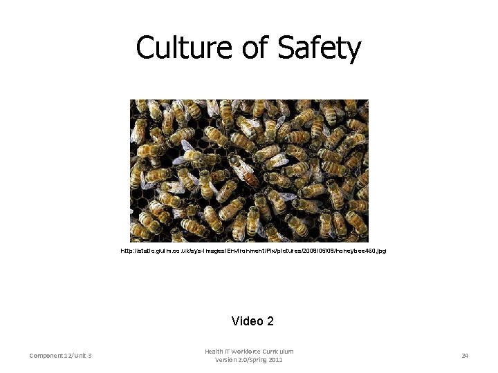 Culture of Safety http: //static. guim. co. uk/sys-images/Environment/Pix/pictures/2008/05/09/honeybee 460. jpg Video 2 Component 12/Unit
