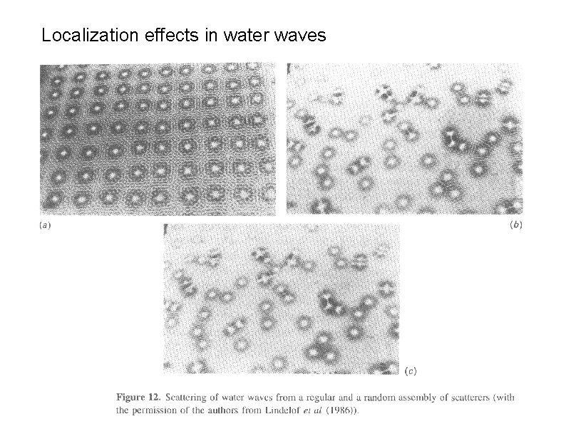 Localization effects in water waves 