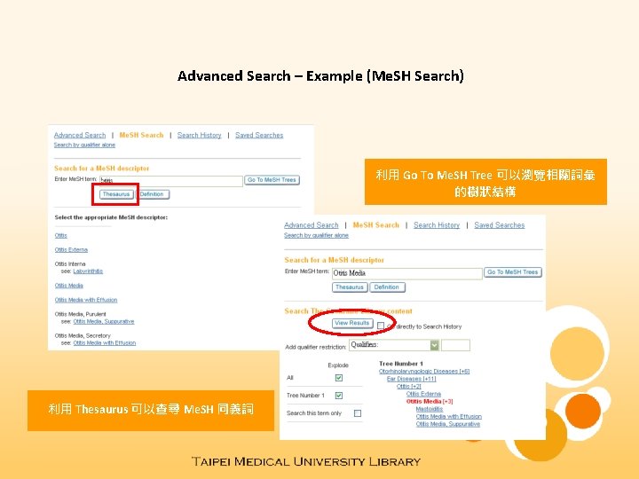 Advanced Search – Example (Me. SH Search) 利用 Go To Me. SH Tree 可以瀏覽相關詞彙