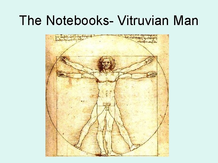 The Notebooks- Vitruvian Man 