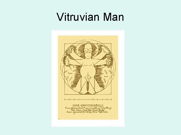 Vitruvian Man 