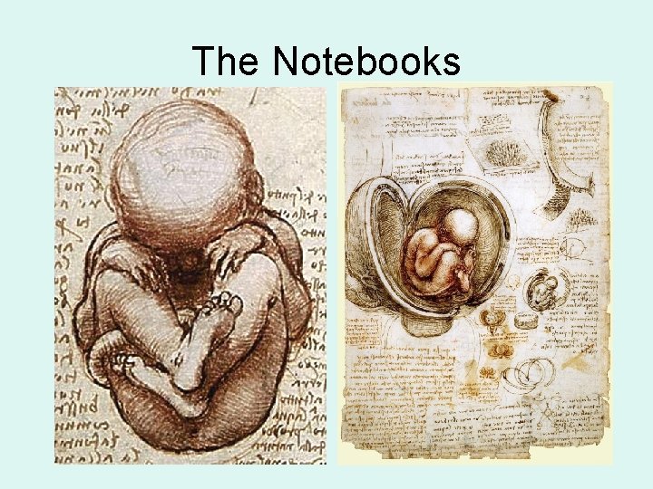 The Notebooks 