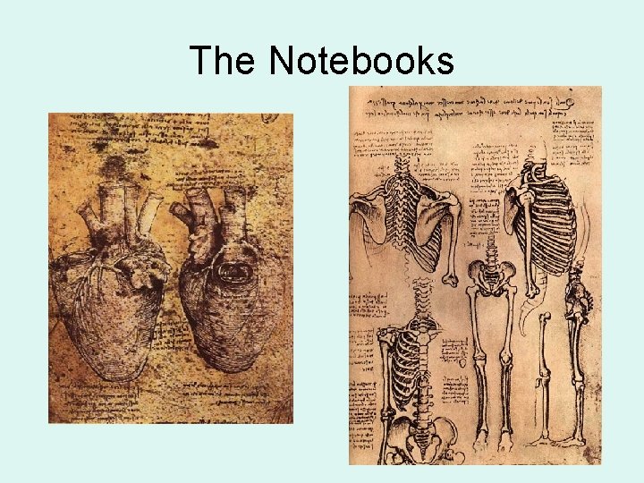 The Notebooks 