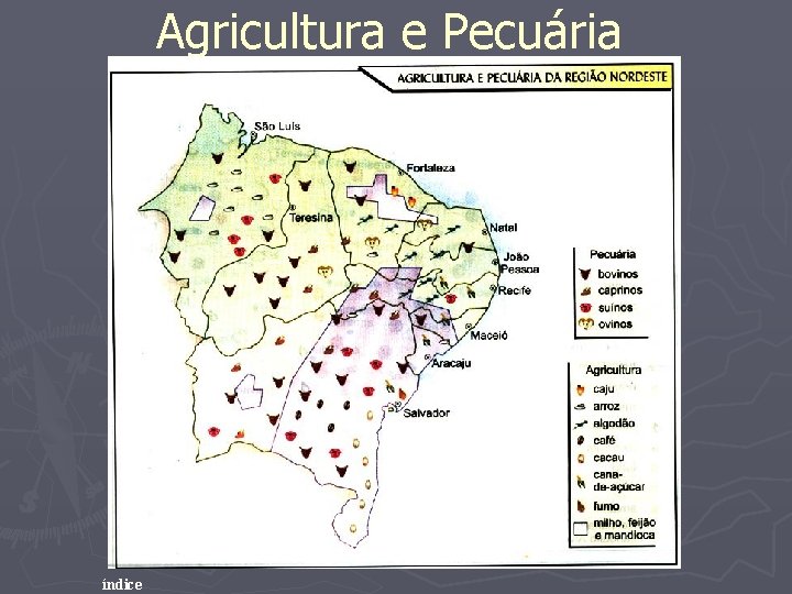 Agricultura e Pecuária índice 