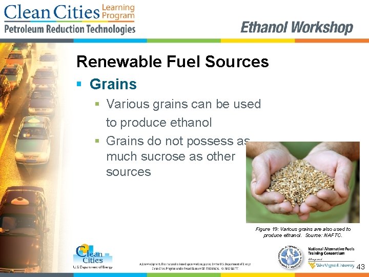 Renewable Fuel Sources § Grains § Various grains can be used to produce ethanol