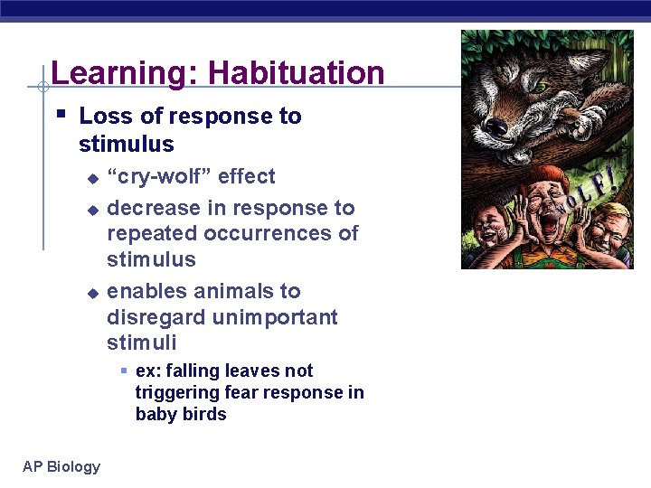 Learning: Habituation § Loss of response to stimulus u u u “cry-wolf” effect decrease