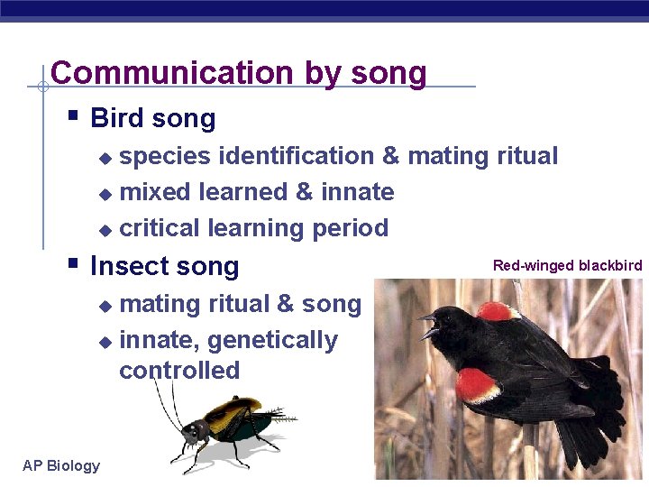 Communication by song § Bird song species identification & mating ritual u mixed learned