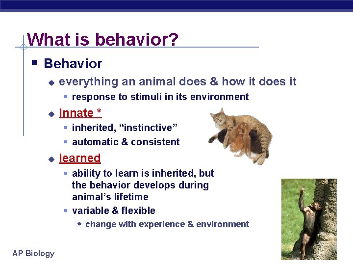 What is behavior? § Behavior u everything an animal does & how it does