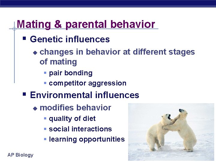 Mating & parental behavior § Genetic influences u changes in behavior at different stages