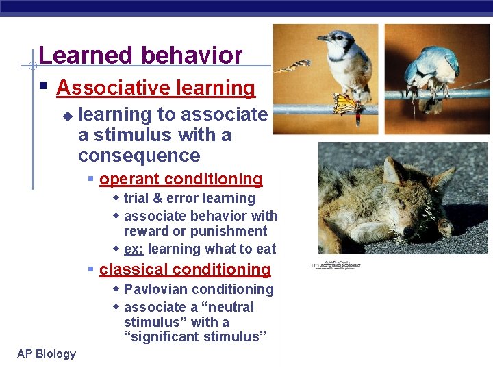 Learned behavior § Associative learning u learning to associate a stimulus with a consequence