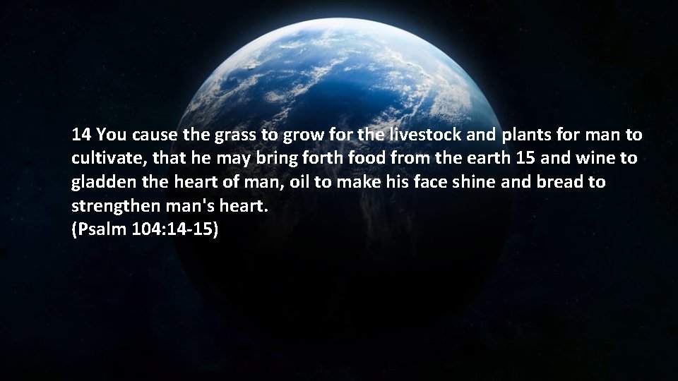 14 You cause the grass to grow for the livestock and plants for man