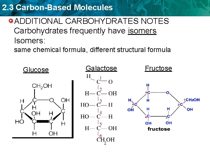 2. 3 Carbon-Based Molecules ADDITIONAL CARBOHYDRATES NOTES Carbohydrates frequently have isomers Isomers: same chemical