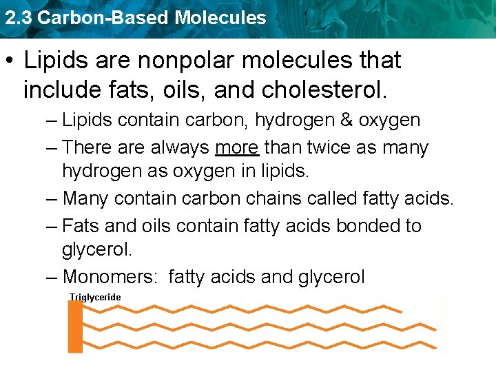 2. 3 Carbon-Based Molecules • Lipids are nonpolar molecules that include fats, oils, and