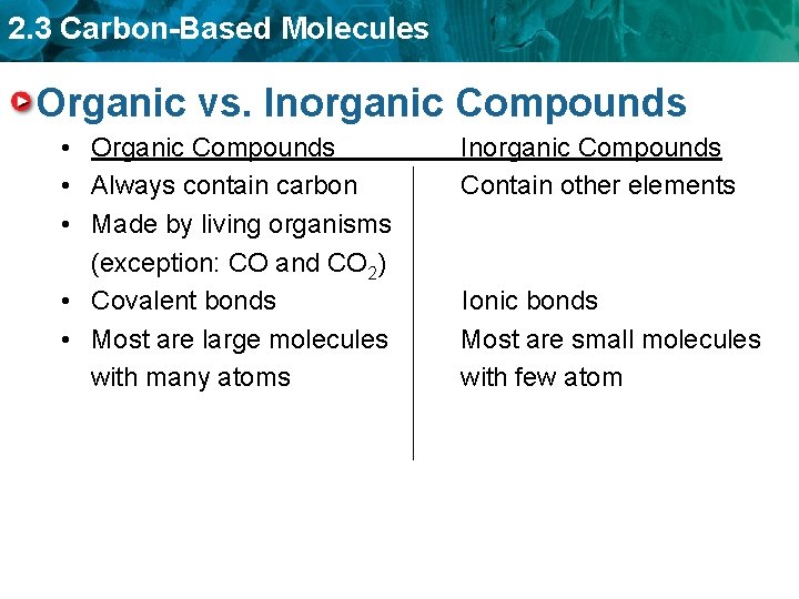 2. 3 Carbon-Based Molecules Organic vs. Inorganic Compounds • Organic Compounds • Always contain