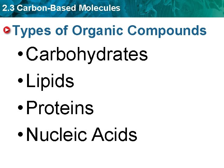 2. 3 Carbon-Based Molecules Types of Organic Compounds • Carbohydrates • Lipids • Proteins