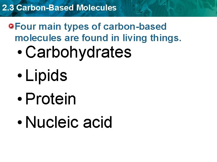 2. 3 Carbon-Based Molecules Four main types of carbon-based molecules are found in living