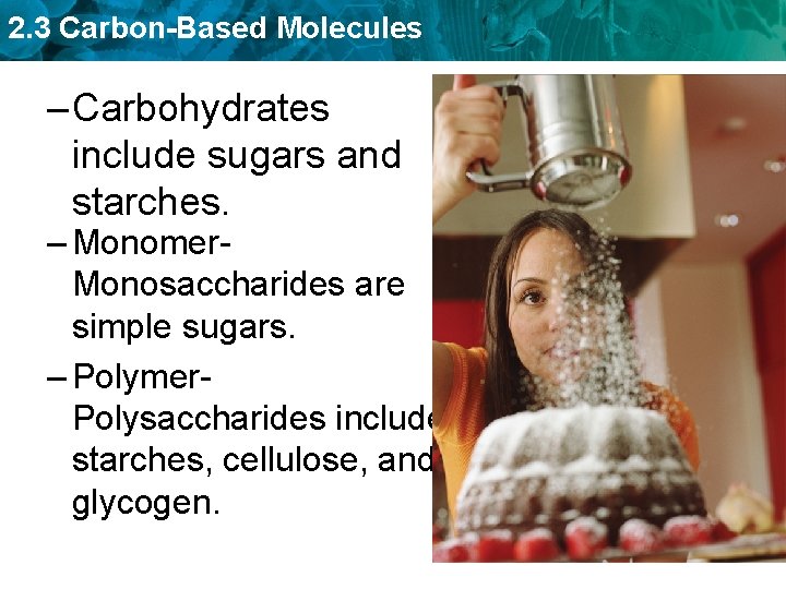 2. 3 Carbon-Based Molecules – Carbohydrates include sugars and starches. – Monomer. Monosaccharides are