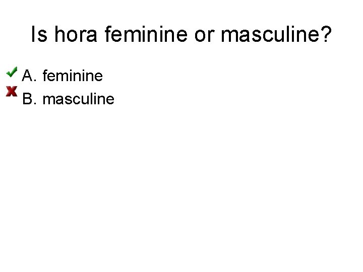 Is hora feminine or masculine? A. feminine B. masculine 
