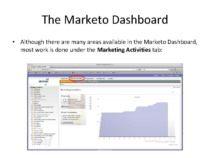 The Marketo Dashboard • Although there are many areas available in the Marketo Dashboard,