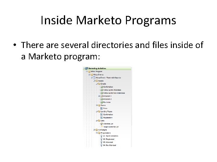 Inside Marketo Programs • There are several directories and files inside of a Marketo