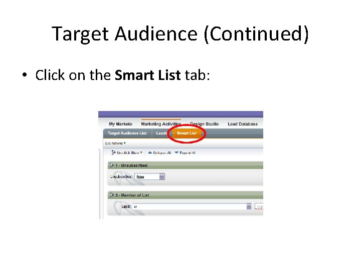 Target Audience (Continued) • Click on the Smart List tab: 