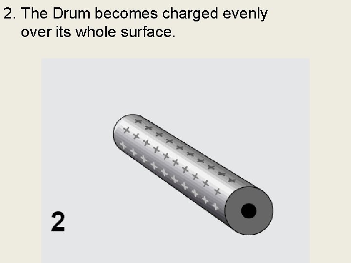 2. The Drum becomes charged evenly over its whole surface. 