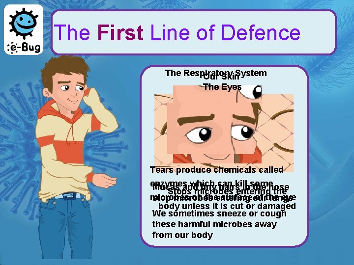 The First Line of Defence The Respiratory System Our Skin The Eyes Tears produce