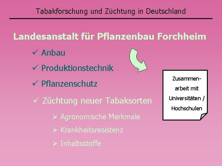 Tabakforschung und Züchtung in Deutschland Landesanstalt für Pflanzenbau Forchheim Anbau Produktionstechnik Pflanzenschutz Züchtung neuer