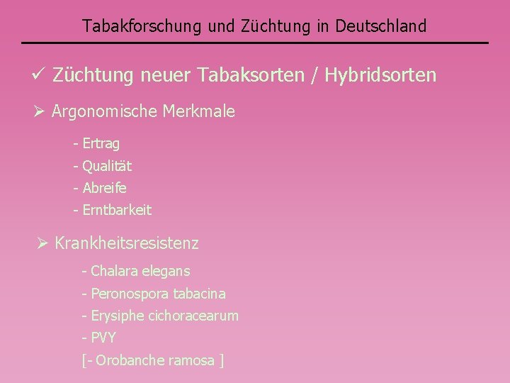 Tabakforschung und Züchtung in Deutschland Züchtung neuer Tabaksorten / Hybridsorten Argonomische Merkmale - Ertrag