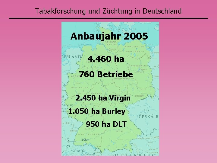 Tabakforschung und Züchtung in Deutschland Anbaujahr 2005 4. 460 ha 760 Betriebe 2. 450