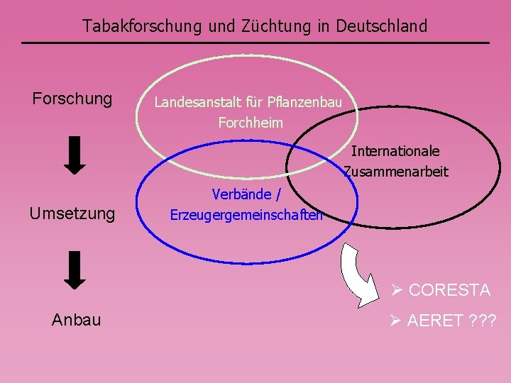 Tabakforschung und Züchtung in Deutschland Forschung Landesanstalt für Pflanzenbau Forchheim Internationale Zusammenarbeit Umsetzung Verbände