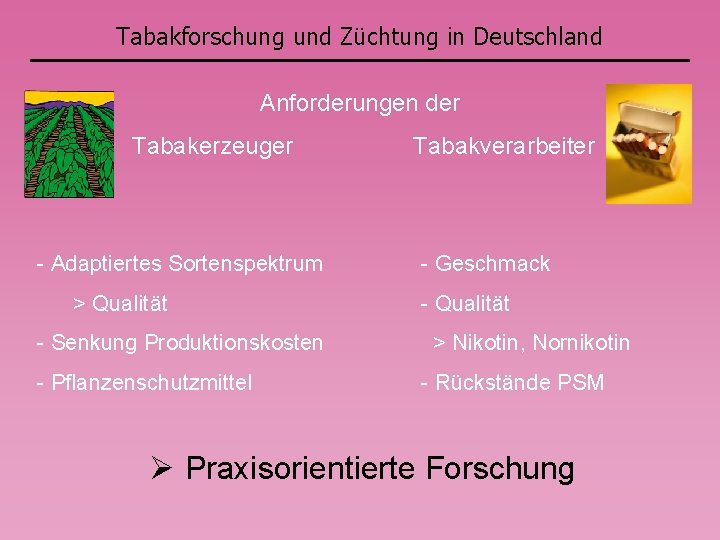 Tabakforschung und Züchtung in Deutschland Anforderungen der Tabakerzeuger - Adaptiertes Sortenspektrum > Qualität -