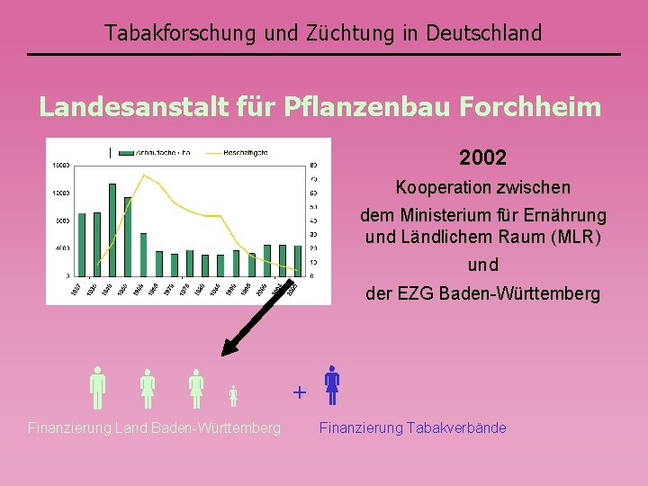 Tabakforschung und Züchtung in Deutschland Landesanstalt für Pflanzenbau Forchheim 2002 Kooperation zwischen dem Ministerium