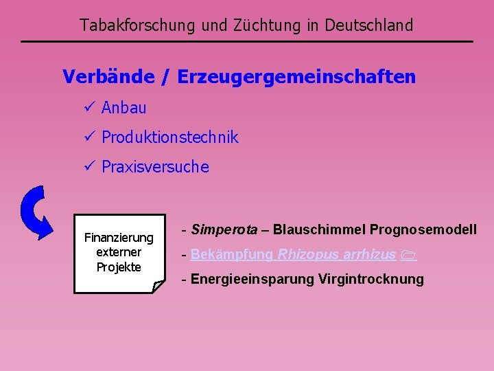 Tabakforschung und Züchtung in Deutschland Verbände / Erzeugergemeinschaften Anbau Produktionstechnik Praxisversuche Finanzierung externer Projekte